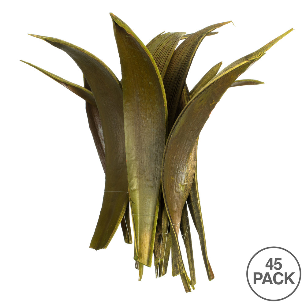Vickerman 6-12" Basil Palm Paddles Includes 32-37 pieces Dried
