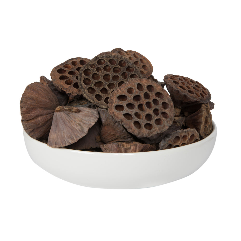 Vickerman Natural Botanicals 4"-4.8" Lotus Pod Extra-Large. Includes 50 pieces per Pack.