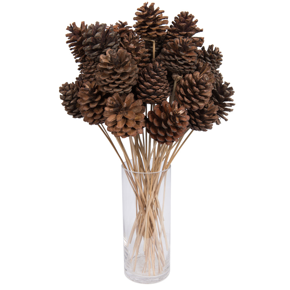 Vickerman Natural Botanicals 2" Blue Pine Natural on Stem. Includes 50 Pieces per Unit