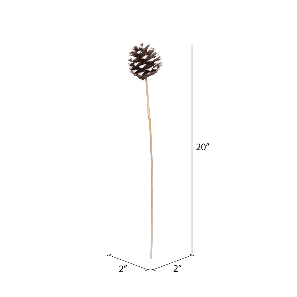 Vickerman Natural Botanicals 20" Blue Pine White Tip on Stem. Includes 50 Stems per Pack.