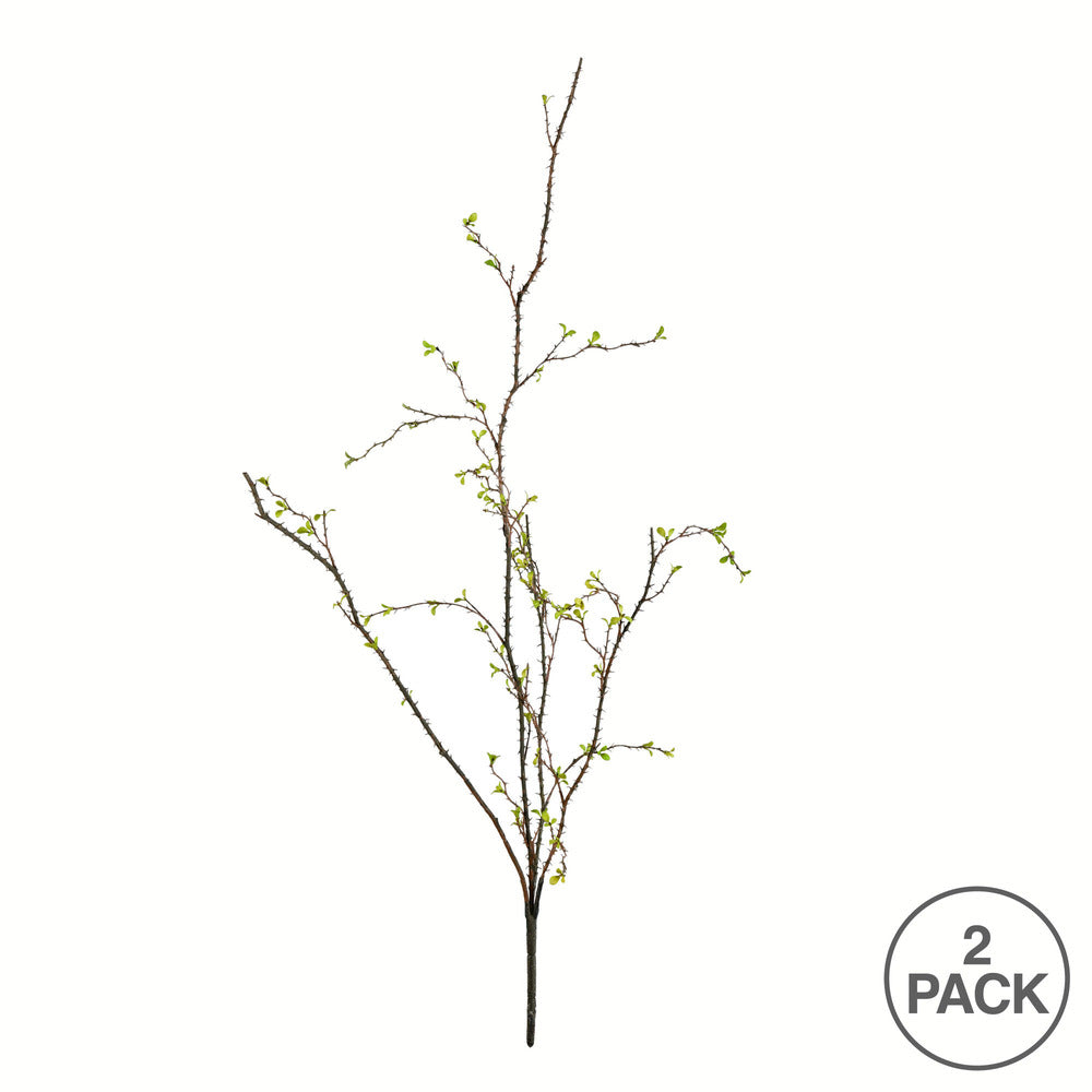 Vickerman 33" Artificial Green Baby Leaf Branch Pack of 2