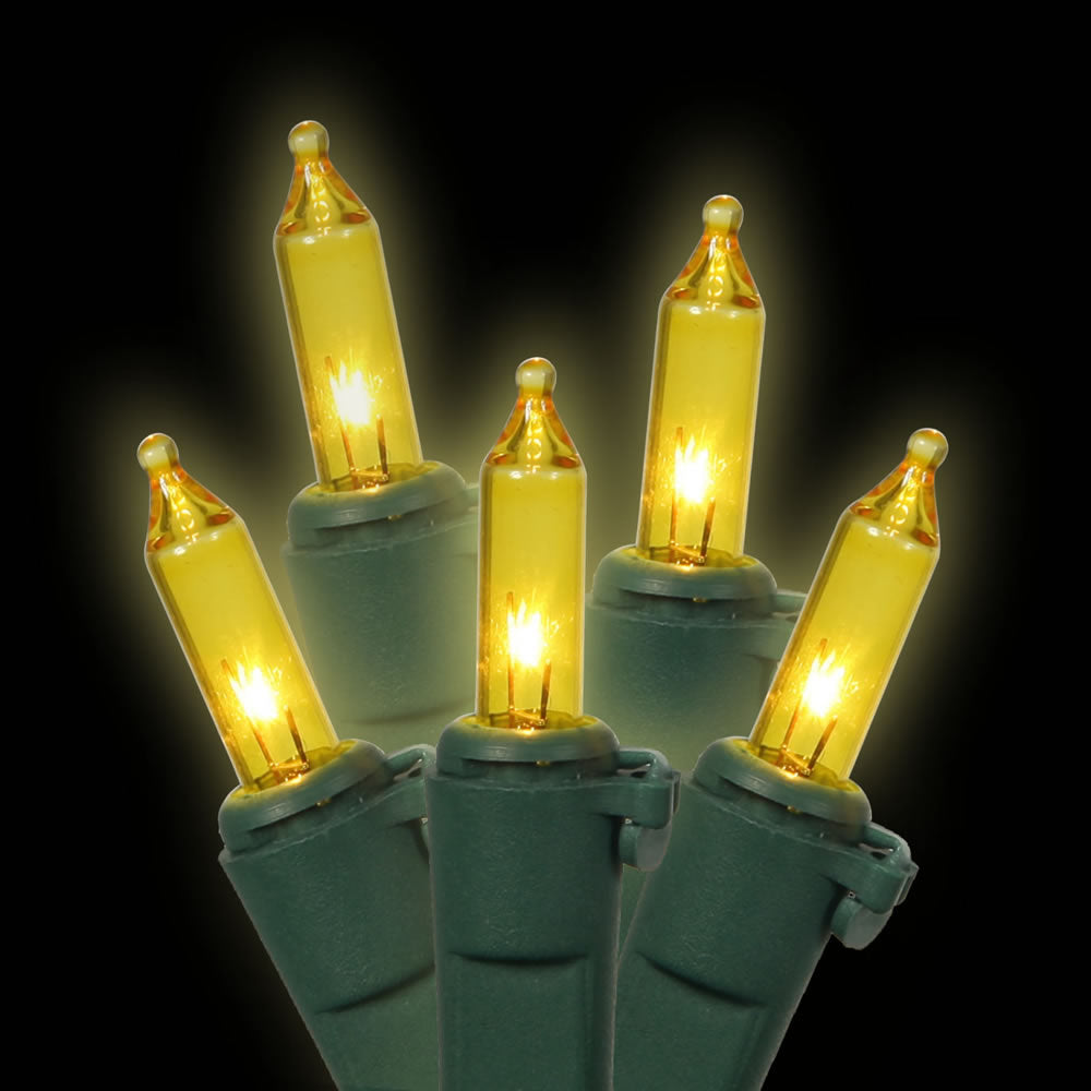 Vickerman 50 Gold Mini Light on Green Wire 23' Christmas Light Strand