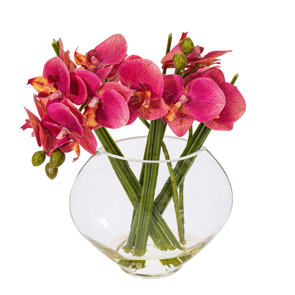 Vickerman 9.8" Artificial Pink Butterfly Orchid In Glass Pot.