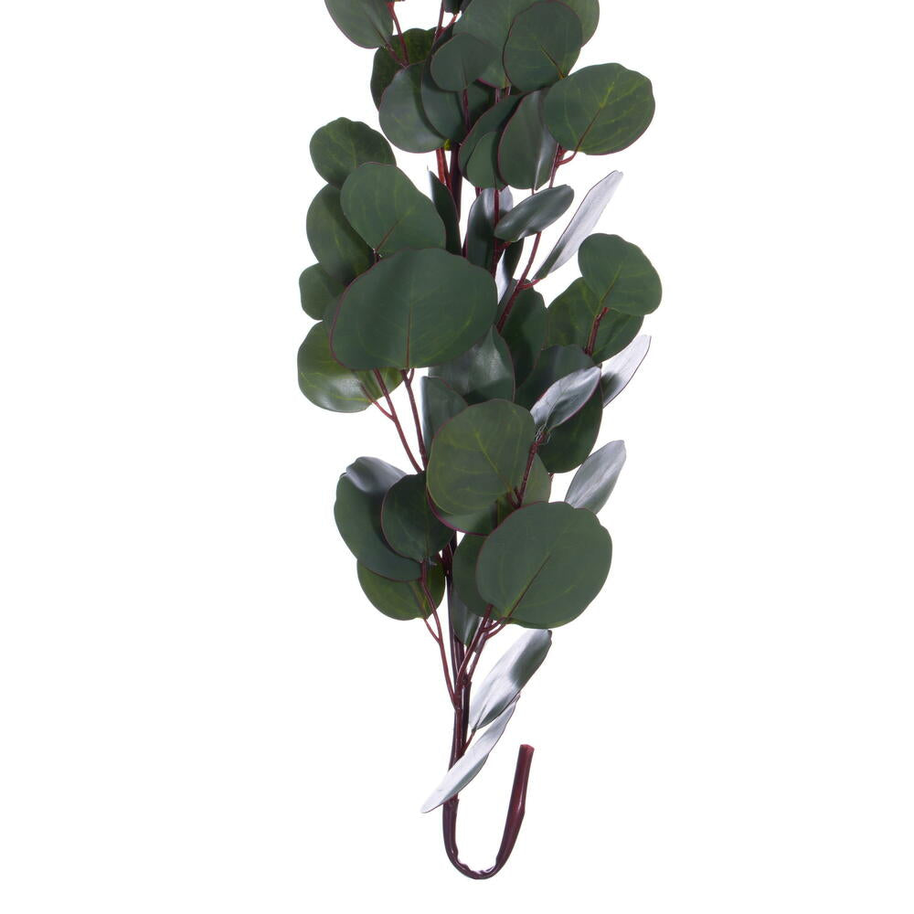 Vickerman 60" Artificial Green Silver Dollar Populus Eucalyptus Garland