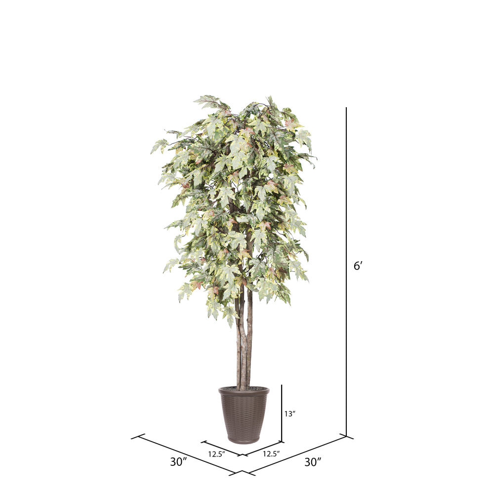 Vickerman 6' Artificial Frosted Maple Deluxe Tree Brown Round Plastic Container.