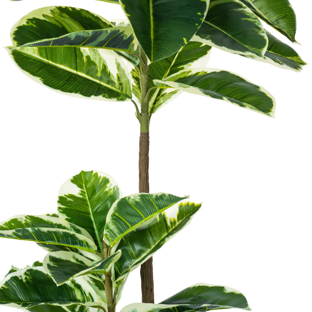 Vickerman 50" Artificial Potted Real Touch Dieffenbachia.