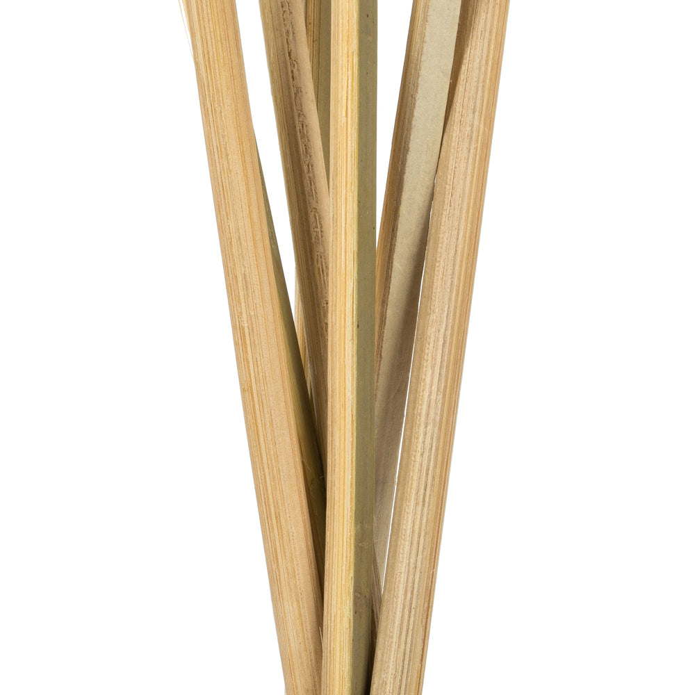 Vickerman 15" Basil Tigela Pod Stemmed 7 stems per pack Dried