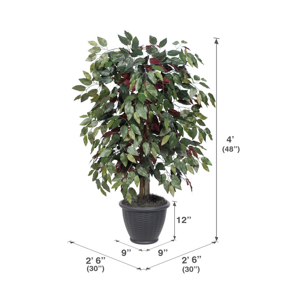 Vickerman 4' Artificial Capensia Bush Gray Round Plastic Container.