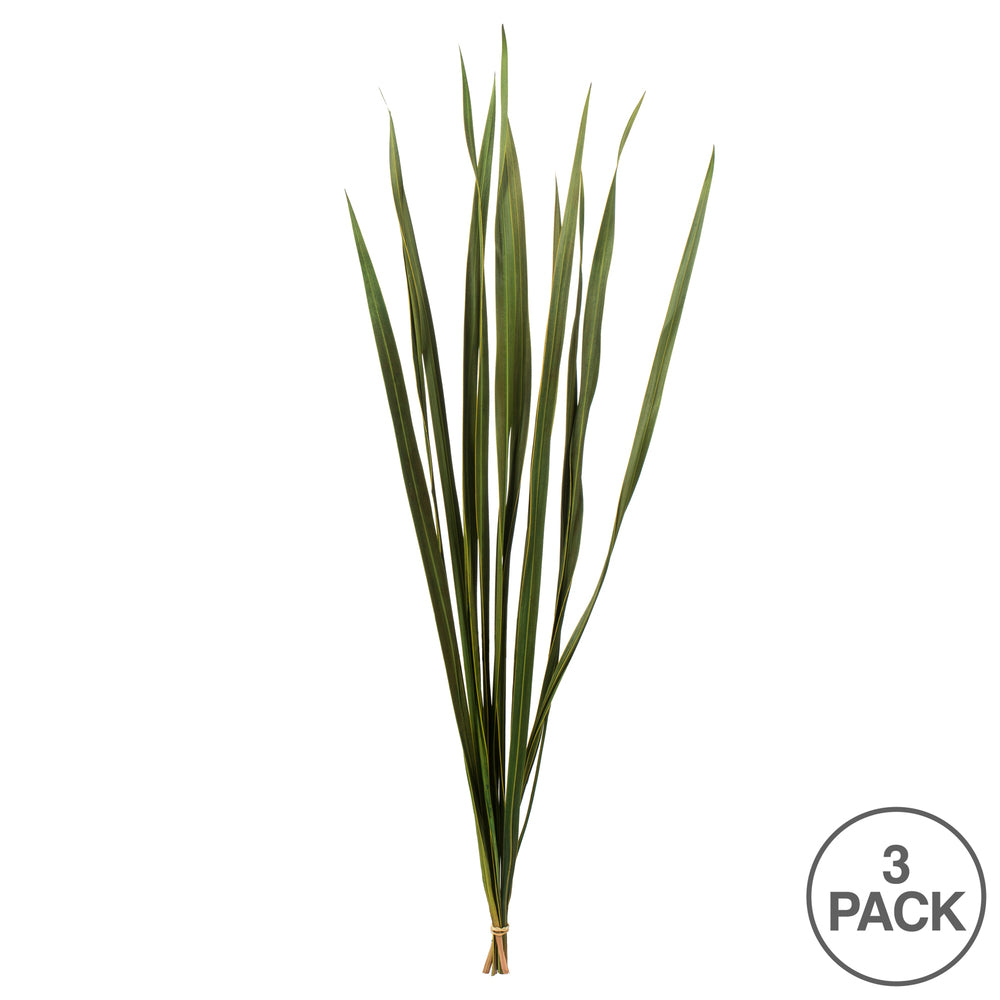 Vickerman 18-30" Basil Snake Grass. Includes 36 Stems (3 - 12 Stem Bundles) Dried