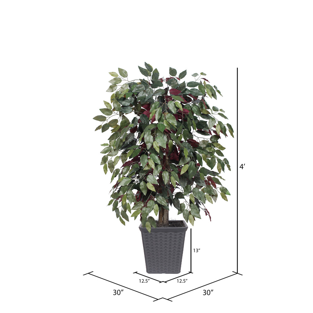 Vickerman 4' Artificial Capensia Bush Gray Square Plastic Container