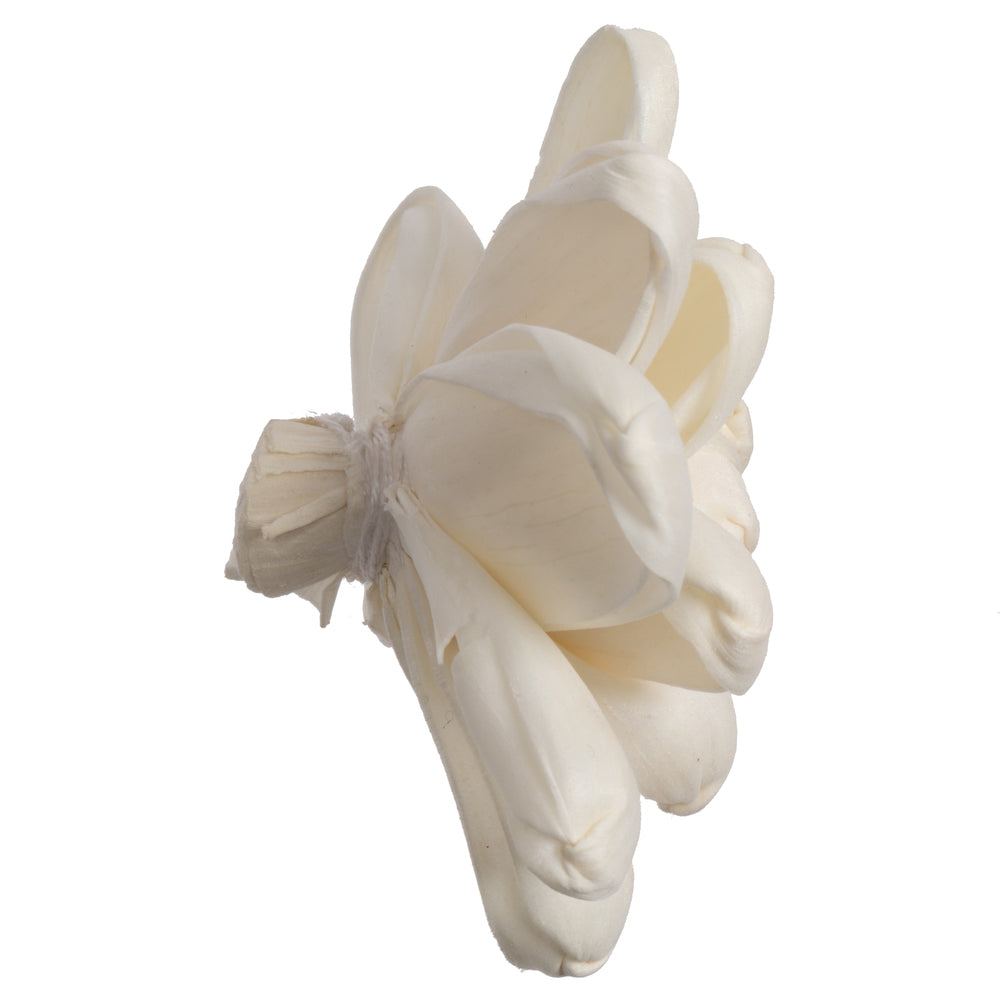 Vickerman Natural Botanicals 1.6"/2.4"/3.2" Assorted Eleanor Sola Flower Head 24 flowers/polybag.