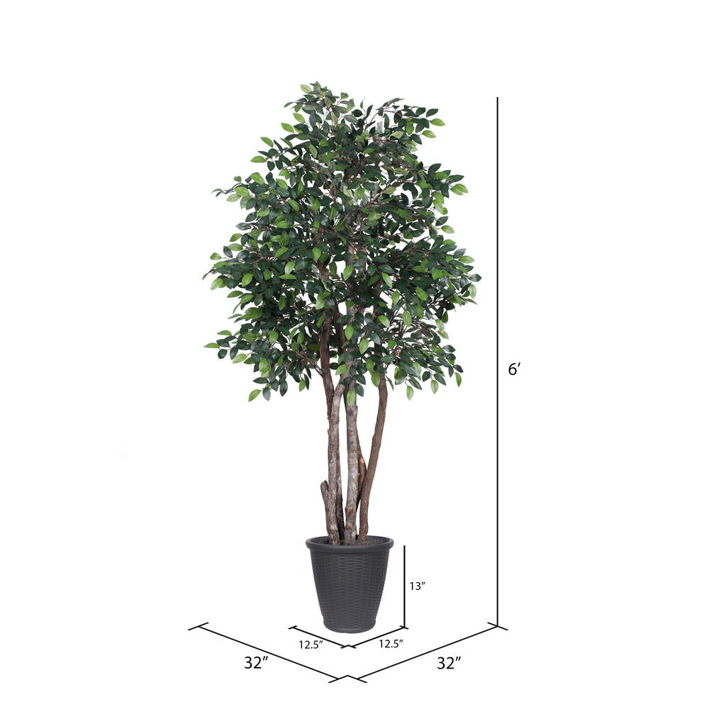 Vickerman 6' Artificial Mini Ficus Executive Tree Gray Round Plastic Container.