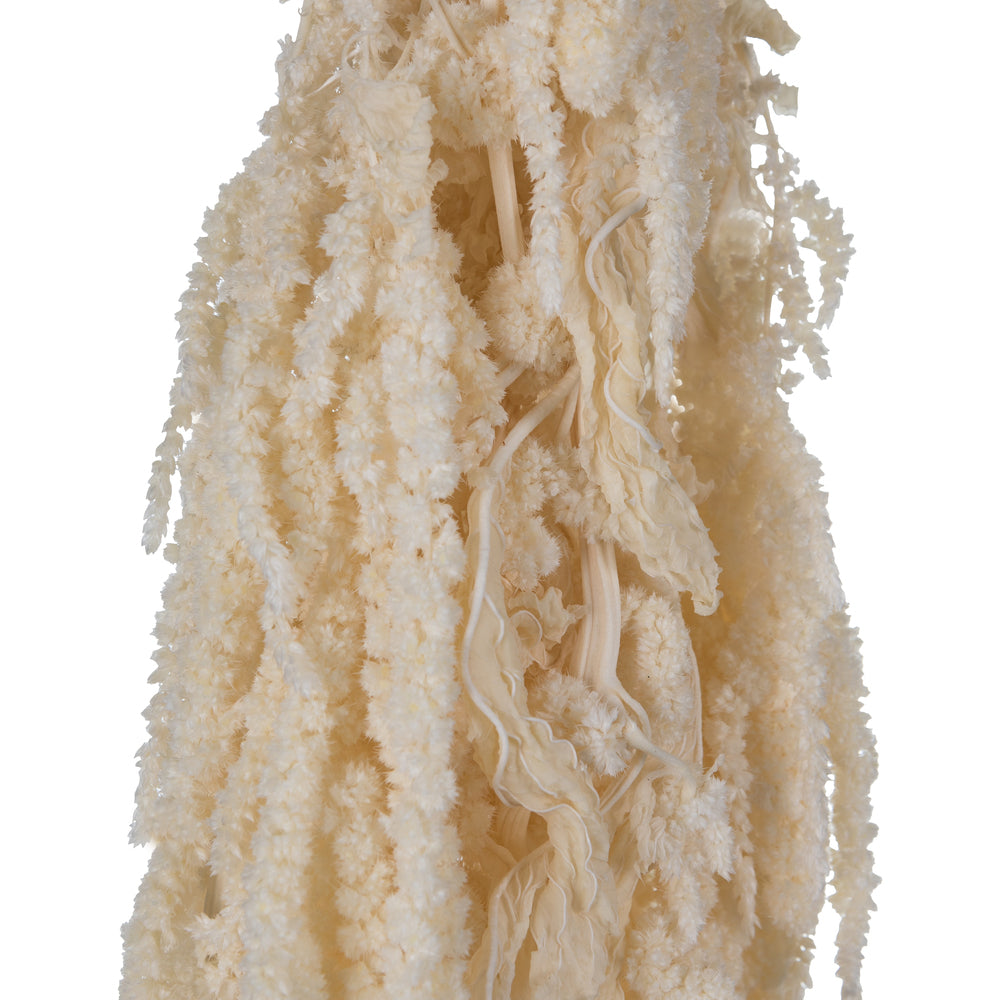 Vickerman 30" White Amaranthus Bundle Preserved