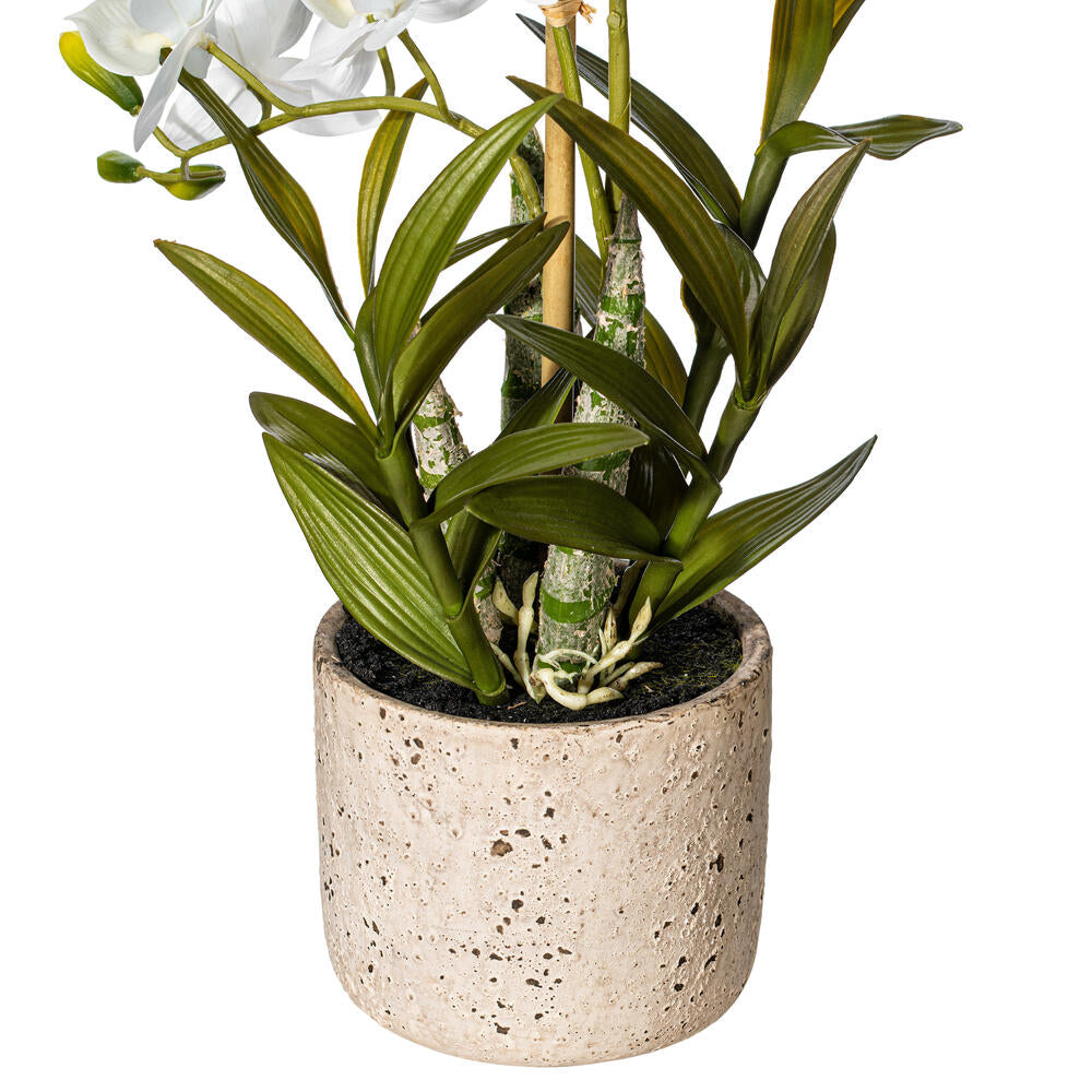 Vickerman 19" Artificial White Deluxe Potted Cycnoches Orchid.