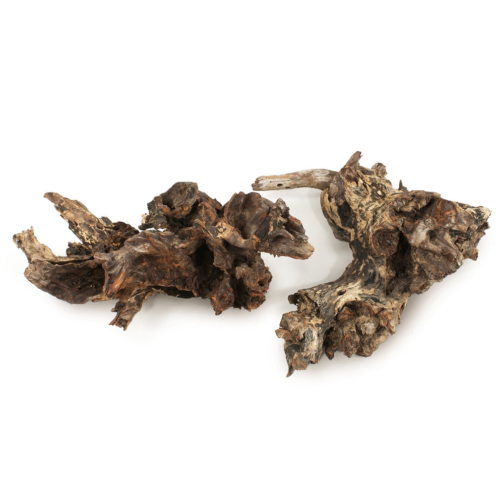 Vickerman 14-16" Natural Roots - Amazonian Medium 1 piece Dried