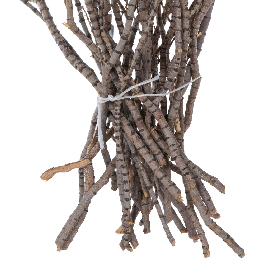 Vickerman 36" Tigerwood bundle 25 stems per Bundle Dried