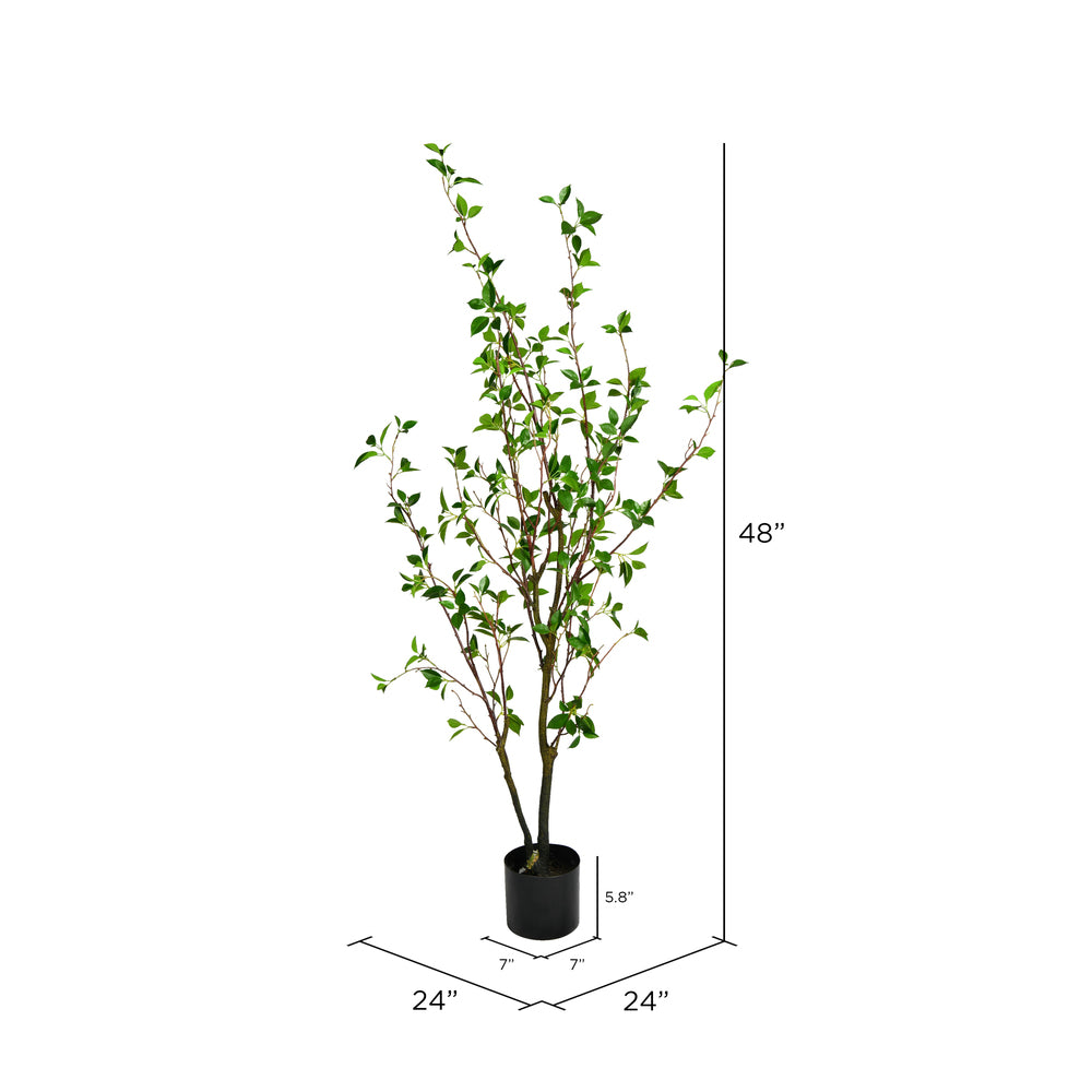Vickerman 60" Artificial Potted Baby Leaf Tree in Black Planters Pot.