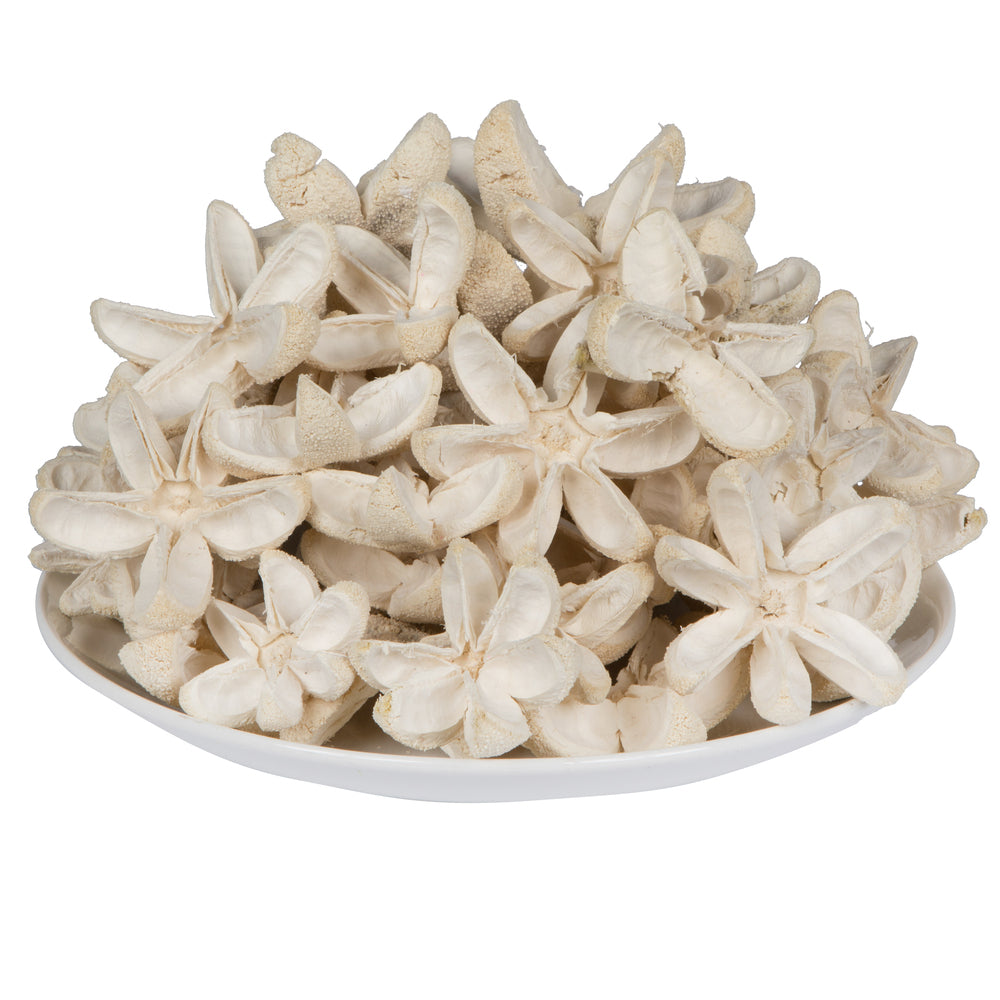 Vickerman Natural Botanicals 2"-3" Bullet Flower Bleached 50 pcs/unit. Includes 50 pieces per unit.