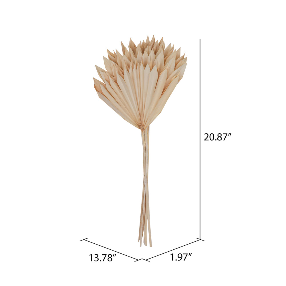 Vickerman Natural Botanicals 20" Bleached Palm Sun Stem. Includes 12 Pieces per Bunch.