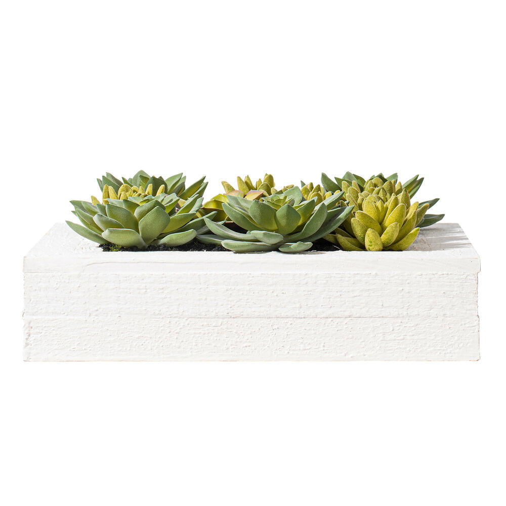 Vickerman 12"x12" Artificial Green Succulent Arrangement.