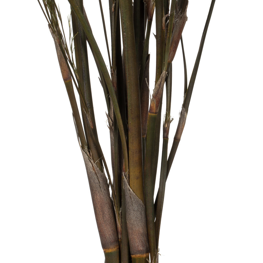 Vickerman 36-40" Green Reed Grass -Includes 8-9 oz per Bundle. Preserved
