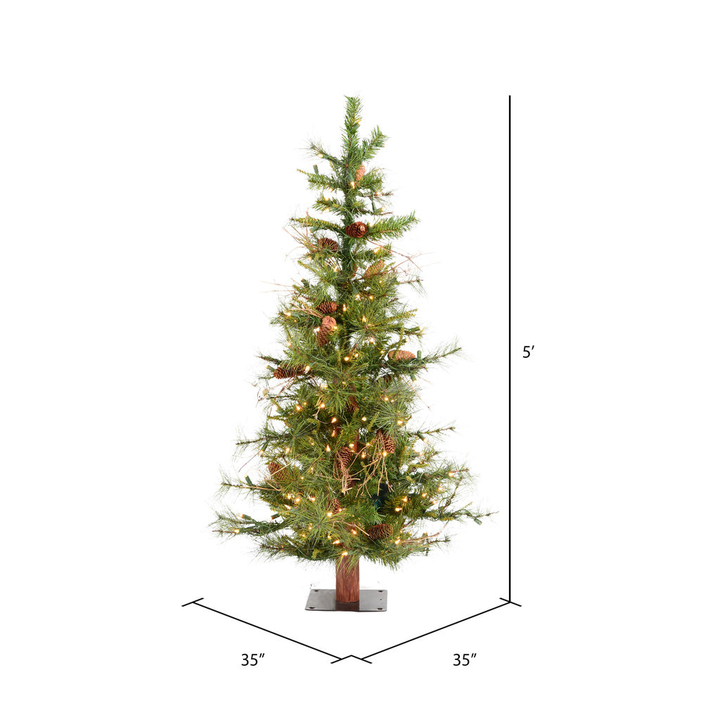 Vickerman 5' Ashland Artificial Christmas Tree Clear Dura-lit Incandescent Lights