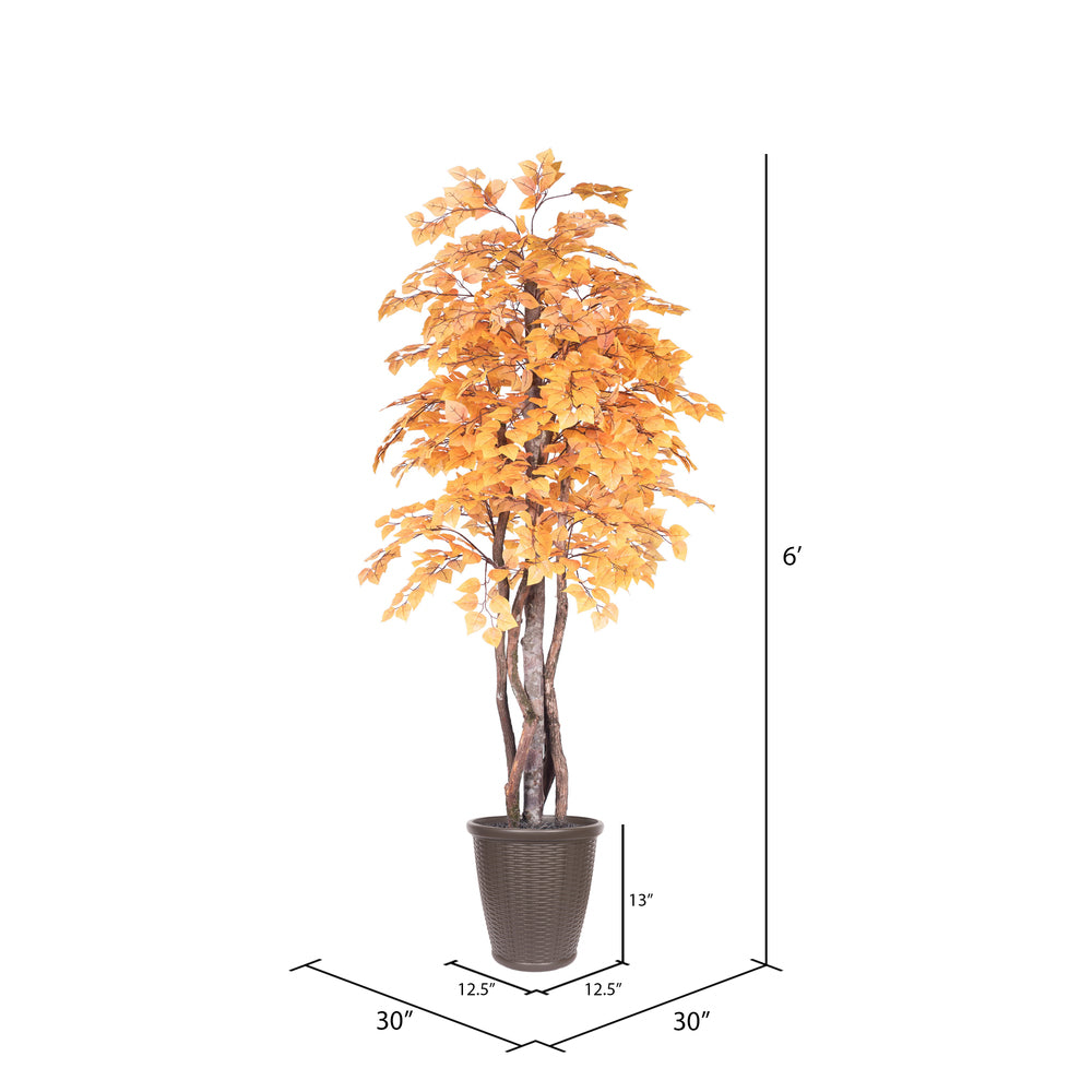 Vickerman 6' Artificial Golden Aspen Executive Tree Brown Round Plastic Container.