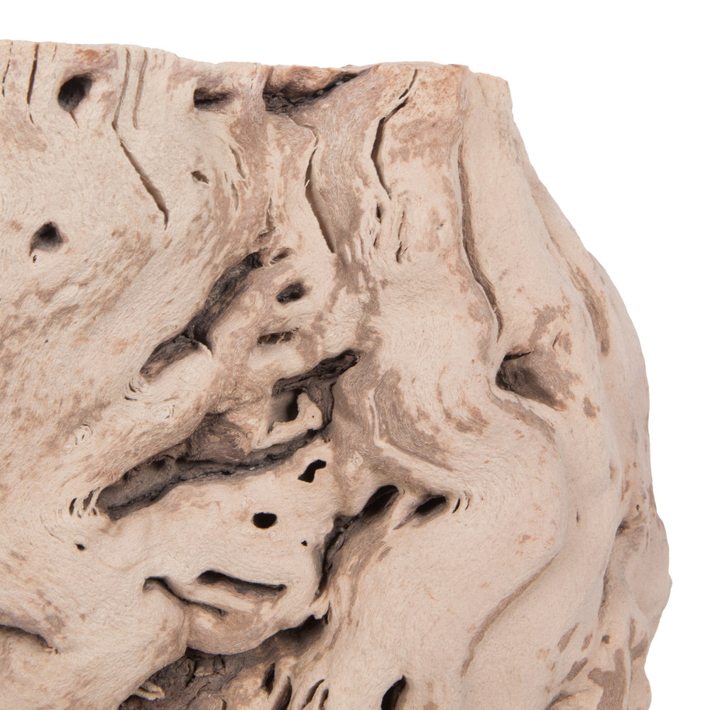 Vickerman 12-14" Grapewood Urns Sand Blasted Dried