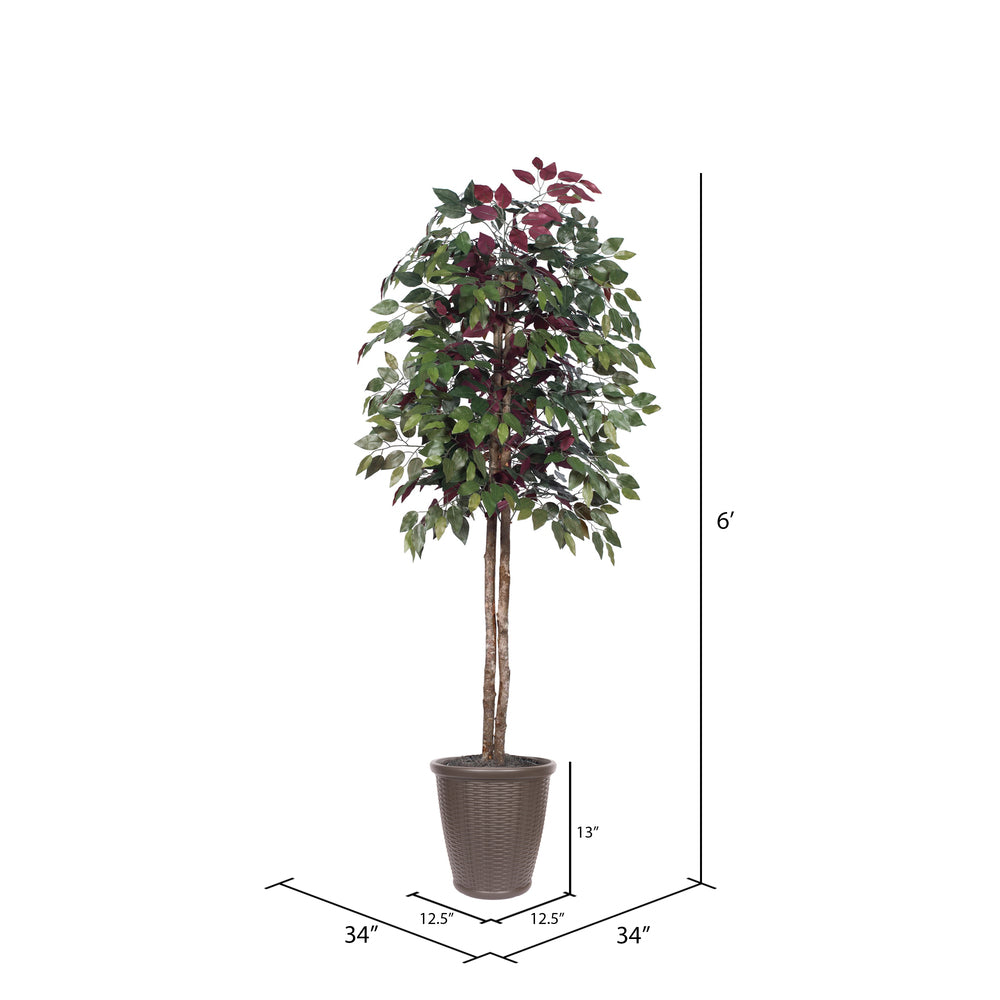 Vickerman 6' Artificial Capensia Tree Brown Round Plastic Container.