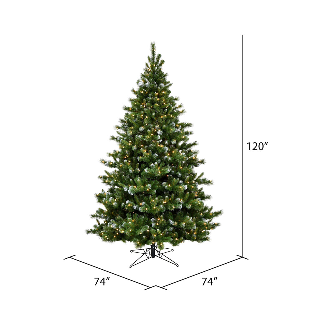 Vickerman 10' x 74" New Haven Spruce Artificial Christmas Tree Clear Dura-lit Lights