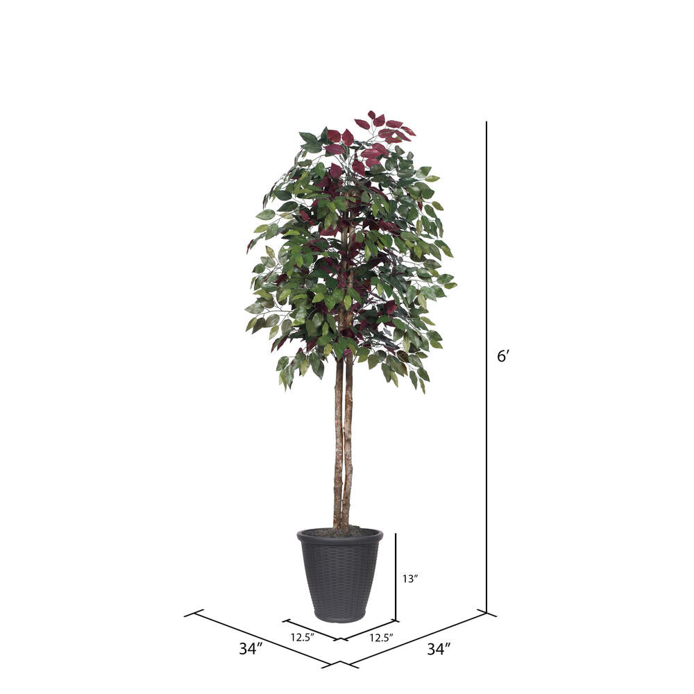 Vickerman 6' Artificial Capensia Tree Gray Round Plastic Container.