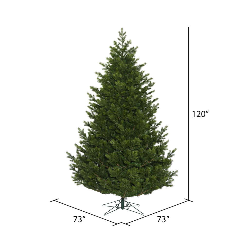 Vickerman 10' x 73" Eagle Fraser Full Artificial Christmas Tree Unlit