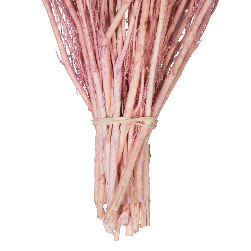 Vickerman 14-18" Coral Stoebe Bundle. Comes 3.5 oz per bundle.