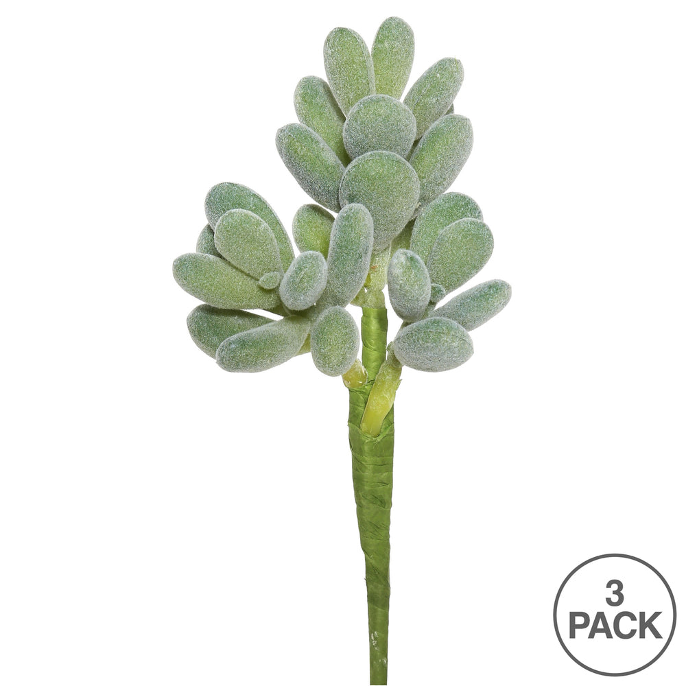 Vickerman 7" Artificial Frosted Crassula Pick Set of 3