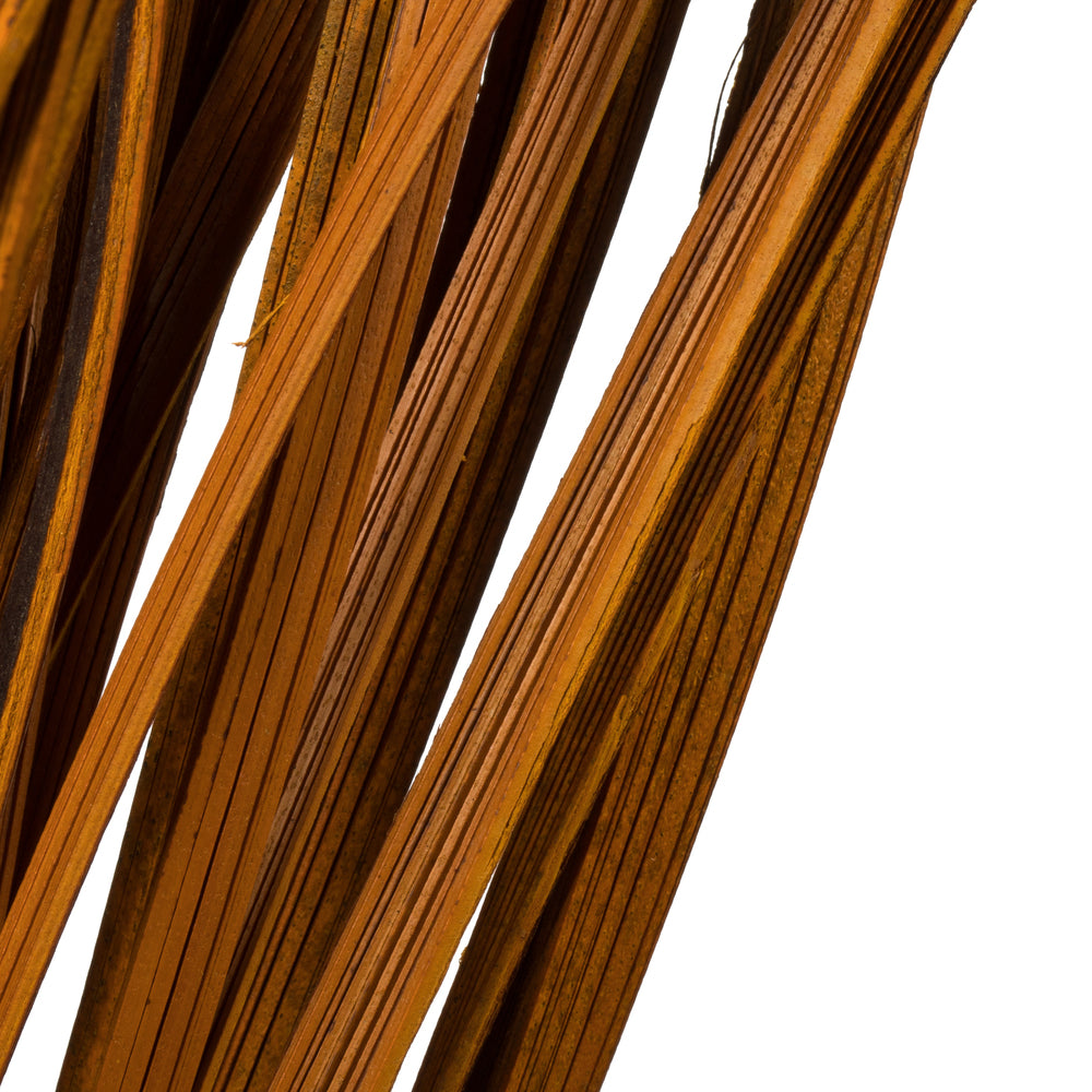 Vickerman 28" Aspen Gold Splinter Grass 11 oz Bundle Dried