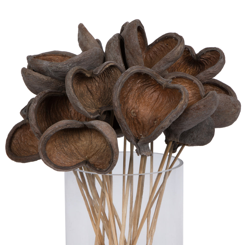 Vickerman Natural Botanicals 20" Stem Badam. Includes 25 Stems per Pack