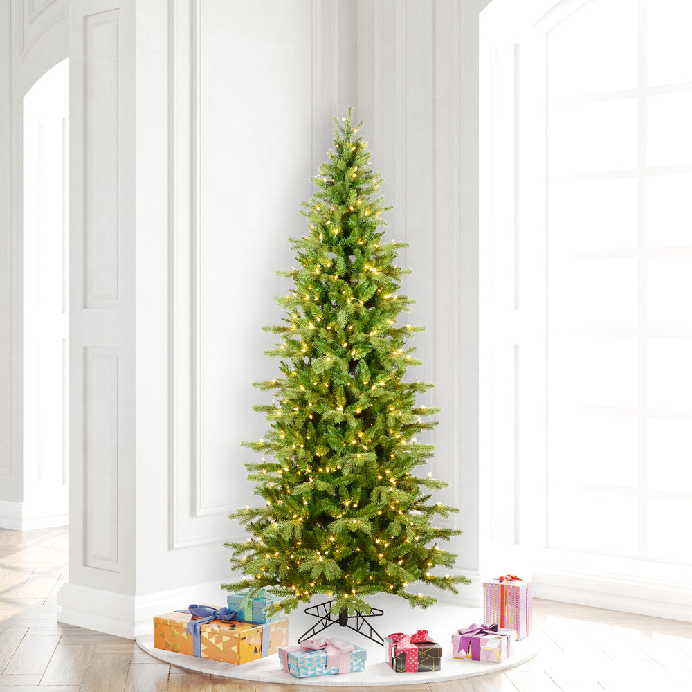 Vickerman 5.5' x 36" Balsam Spruce Slim Tree 650 Warm White Low Voltage 3MM LED Lights.