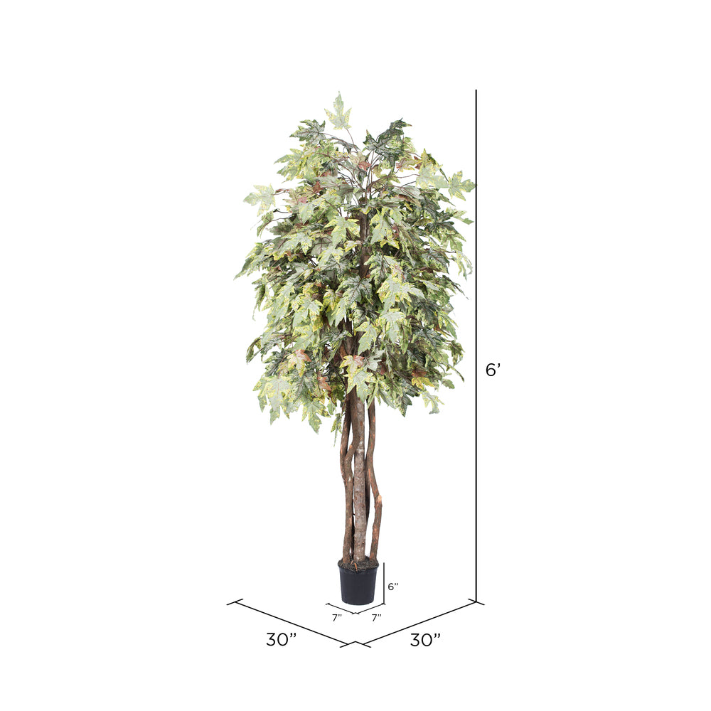 Vickerman 6' Artificial Frosted Maple Executive Black Plastic Pot