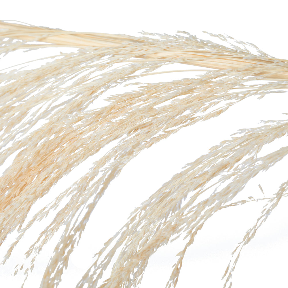 Vickerman 60-72" Bleached Uva Palm Spray standing between 60 to 72 inches tall. Pack of 10.