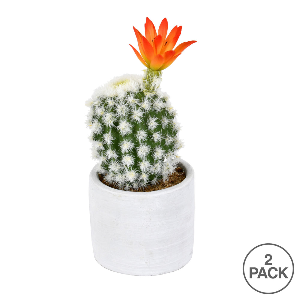 Vickerman 9" Artificial Green Cactus in Cement Pot Pack of 2