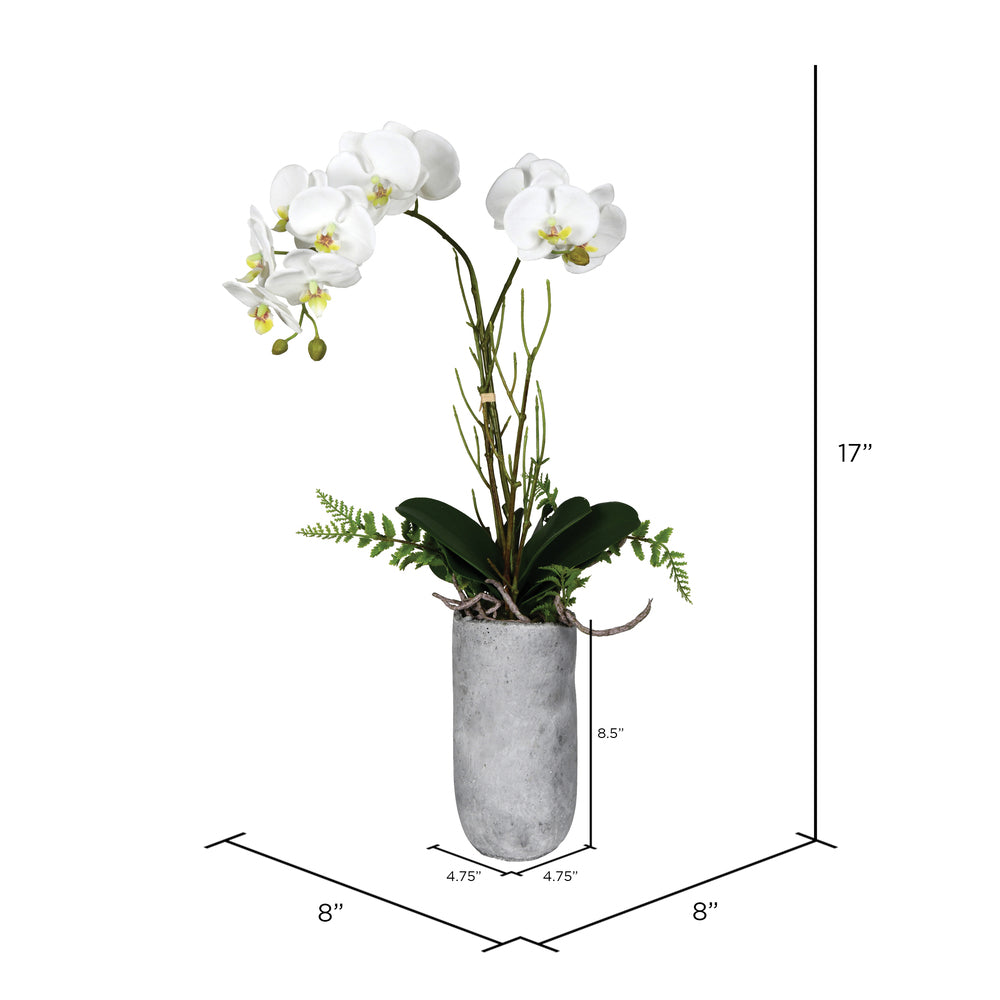 Vickerman 17" Artificial White Butterfly Orchid.