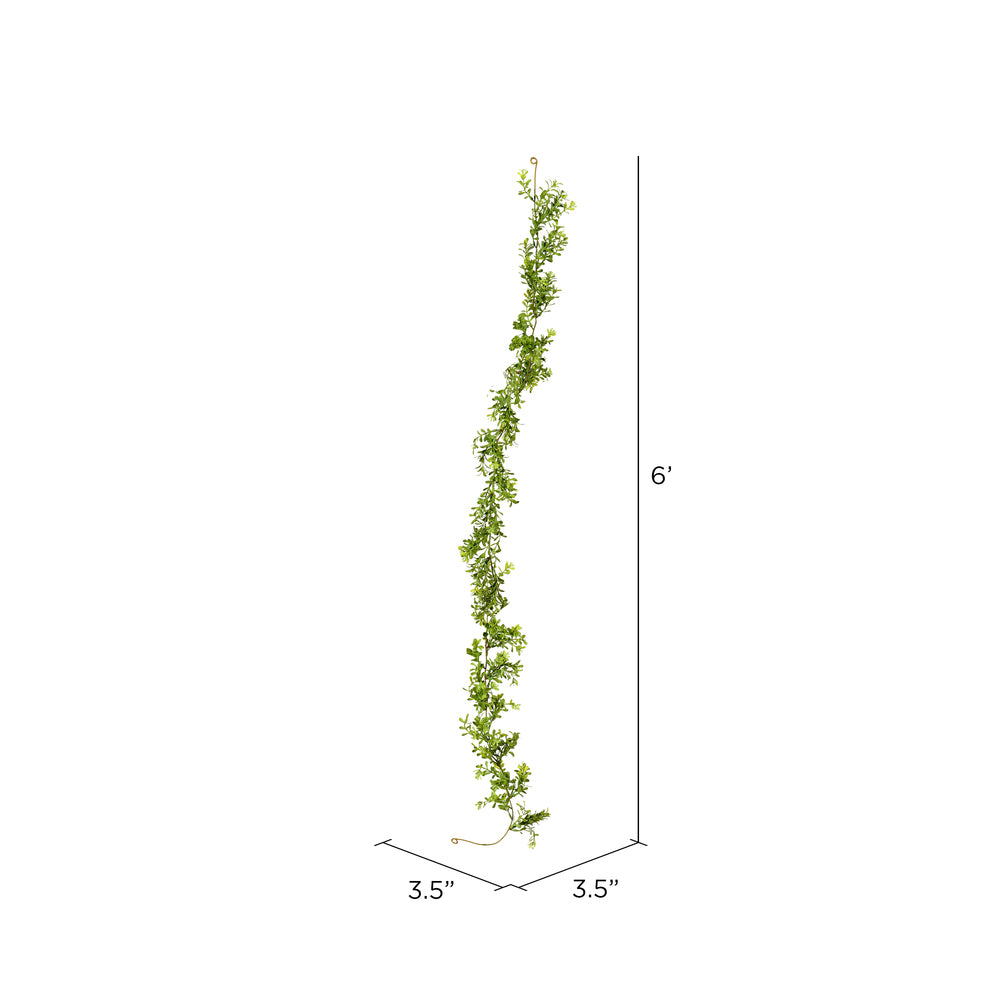 Vickerman 6' Artificial Green Boxwood Moderne Garland.