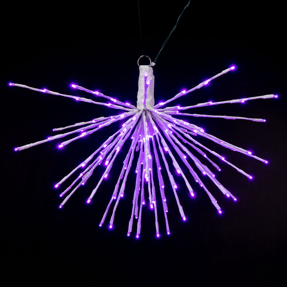 Vickerman 160Lt x 24" White Starburst Purple 5mm LED Lights.