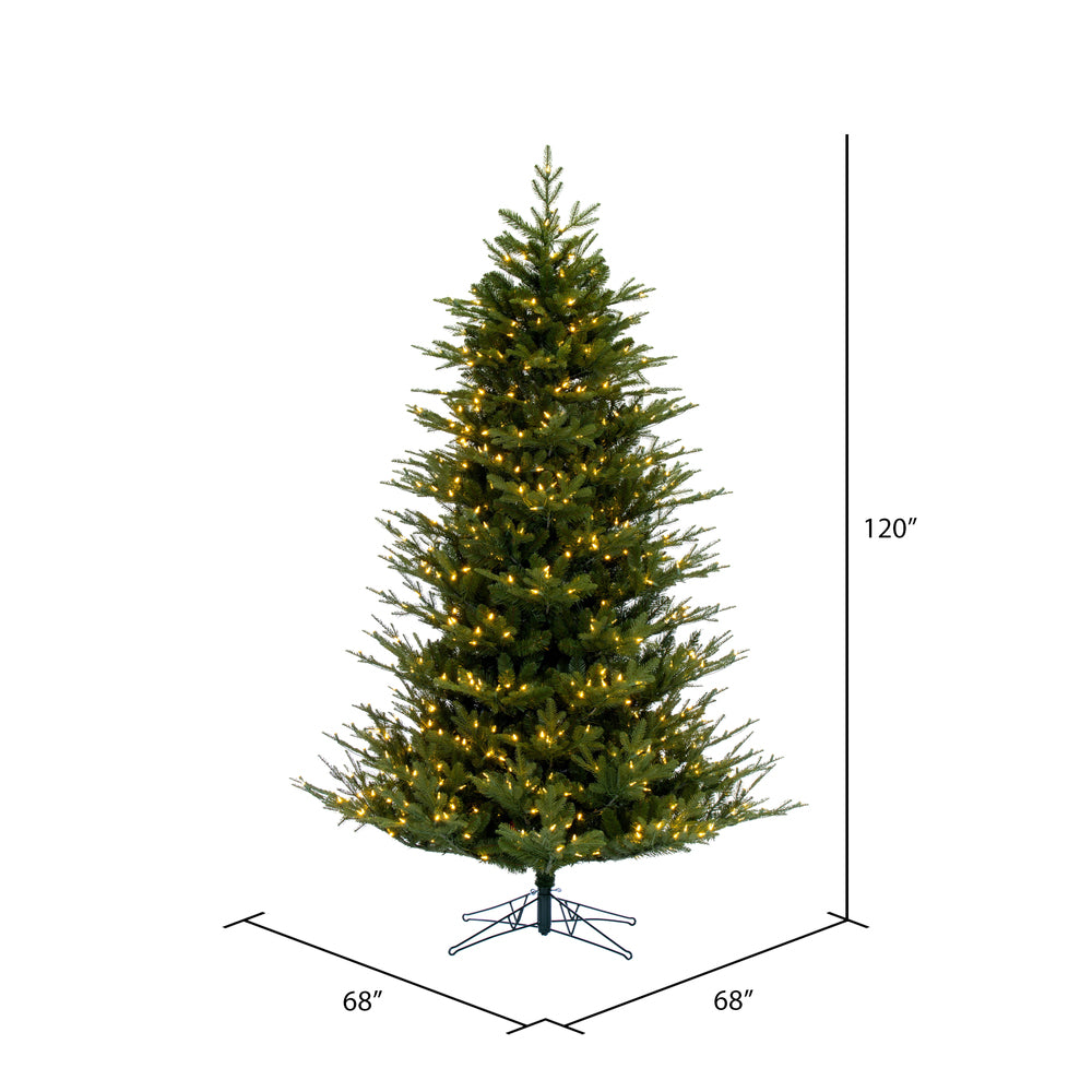 Vickerman 10' x 68" North Shore Fraser Fir Artificial Christmas Tree LED Warm White Lights