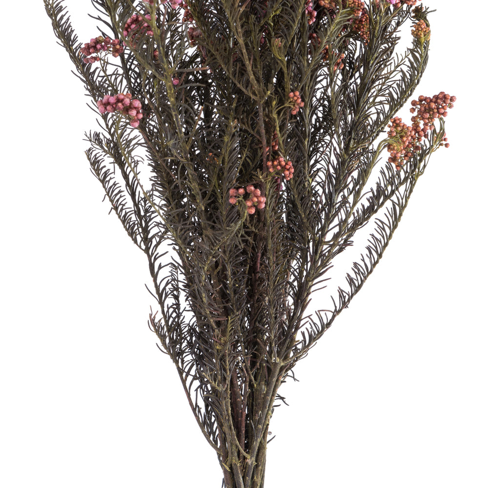 Vickerman 16" Purple Orchid Rice Flower. Comes in a 4.25 oz Bundle. Preserved