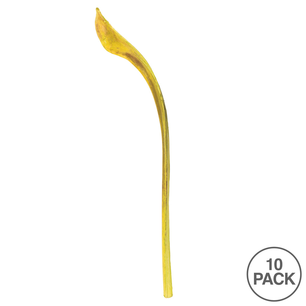 Vickerman 20-24" Basil Ninja 10 Pack Dried