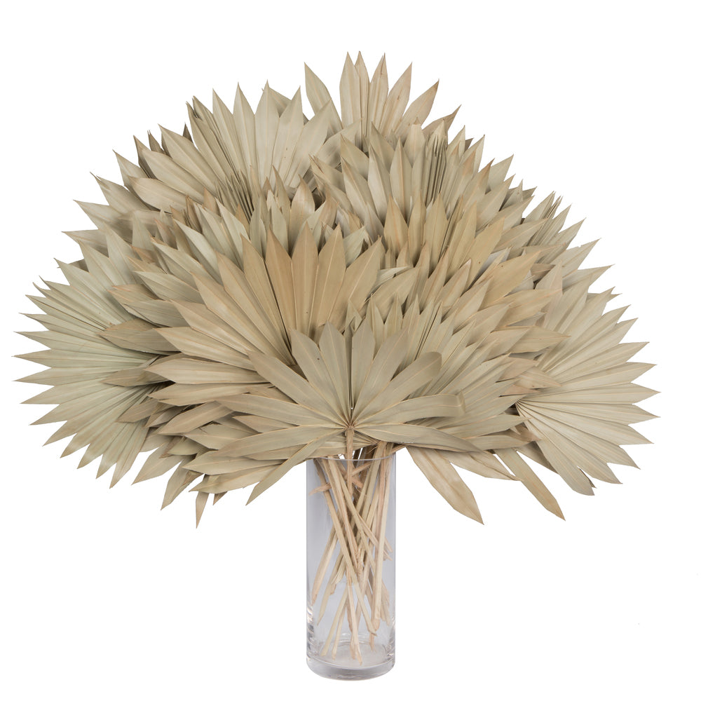 Vickerman Natural Botanicals 20" Palm Sun Spear Natural. Includes 50 pieces per Pack.