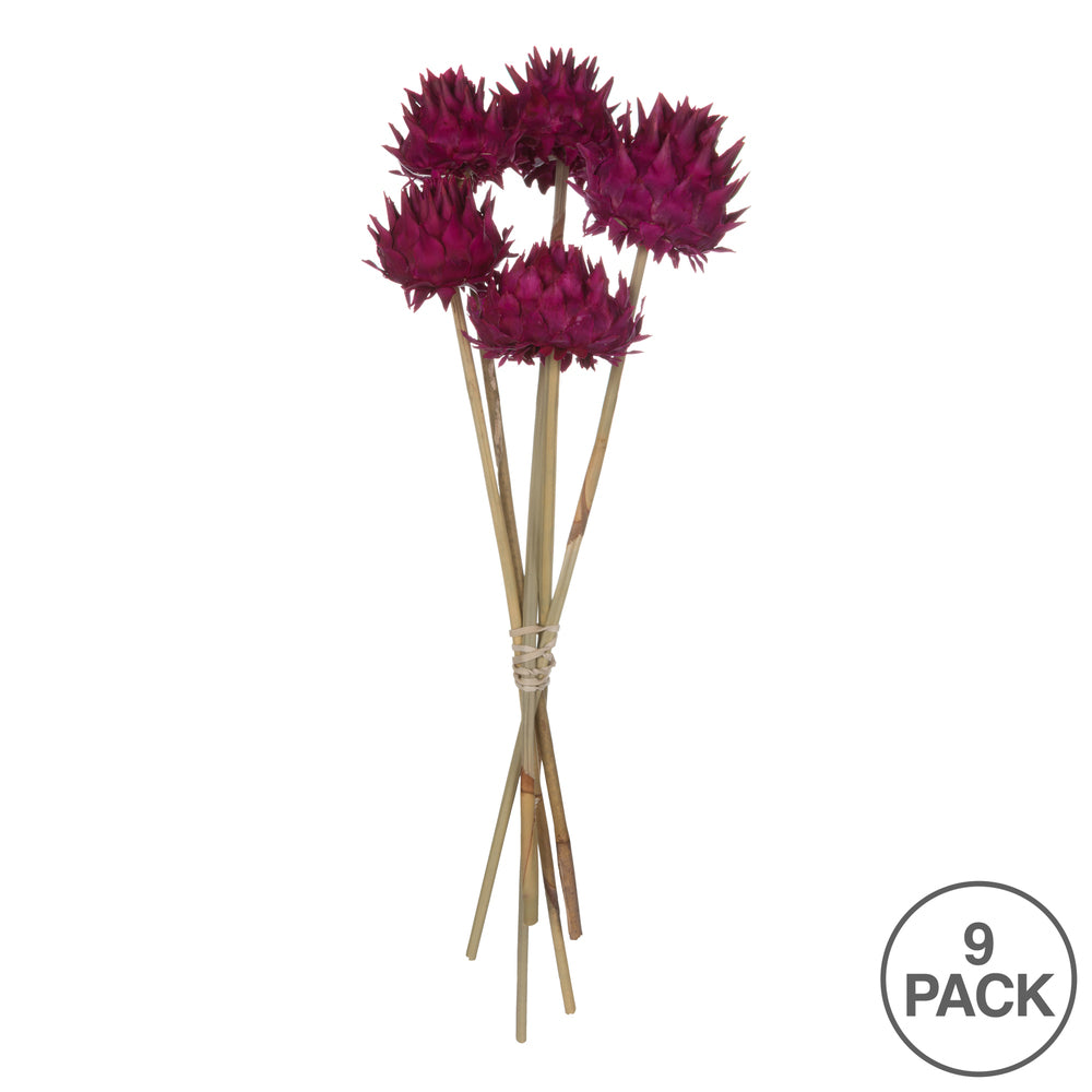 Vickerman 15" Raspberry Artichoke Head attached to a Reed Stem Dried