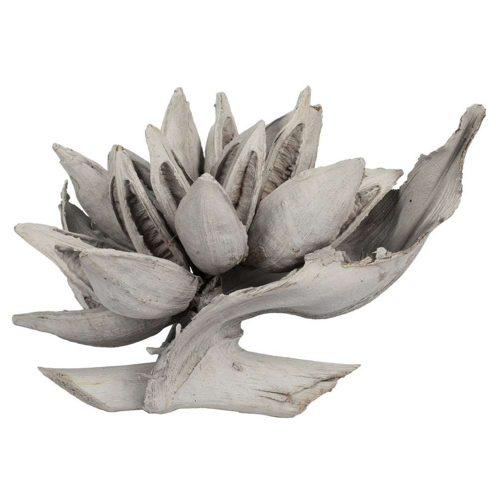 Vickerman 6" Gray Wash Star Pod 1 piece Dried