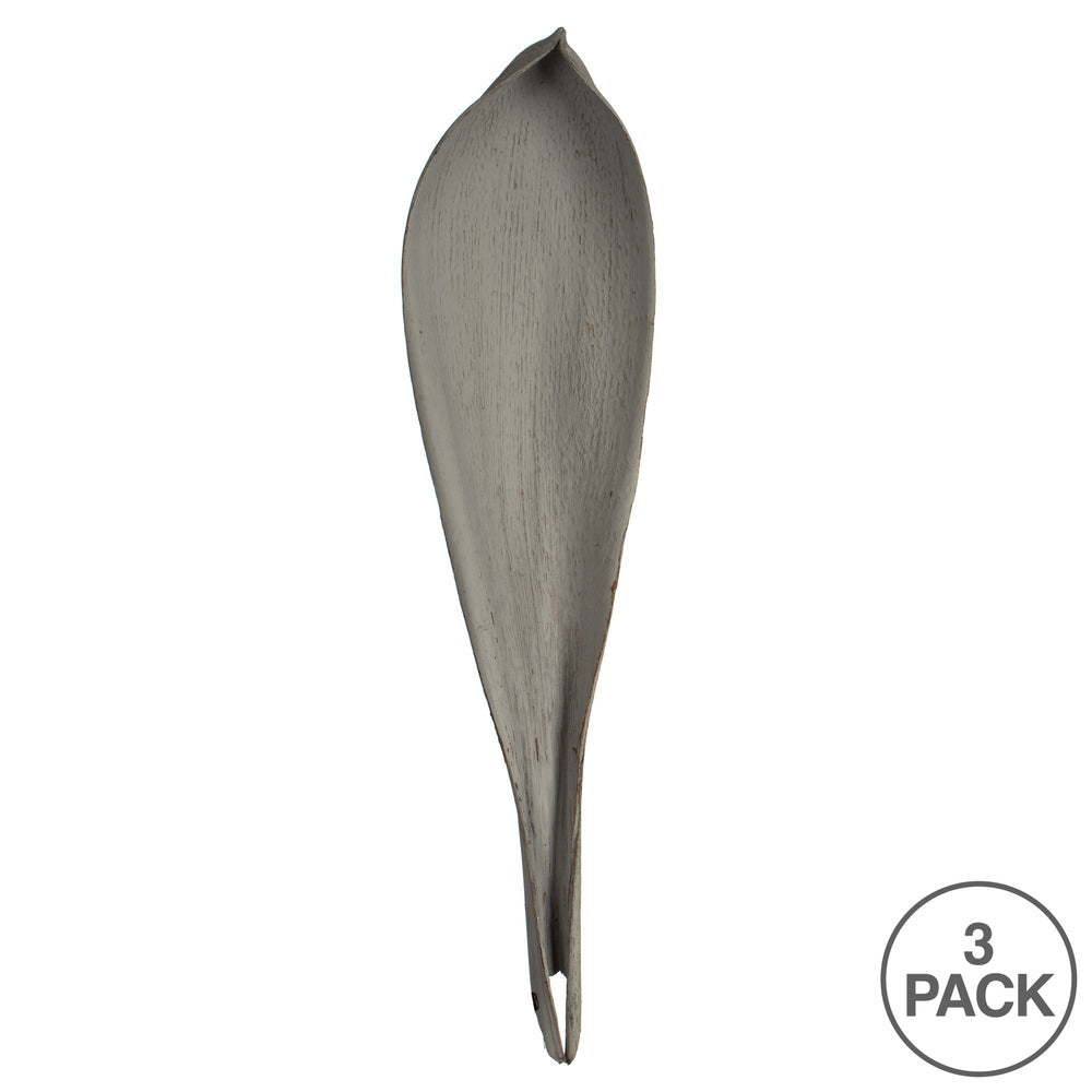 Vickerman 24-30" Gray Wash Palm Paddle. Includes 3 paddles Dried